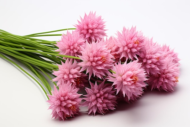 Dehydrated Chive on white background