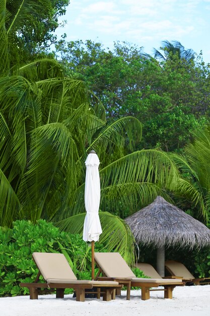 Dekstoelen op het strand onder de palmbomen