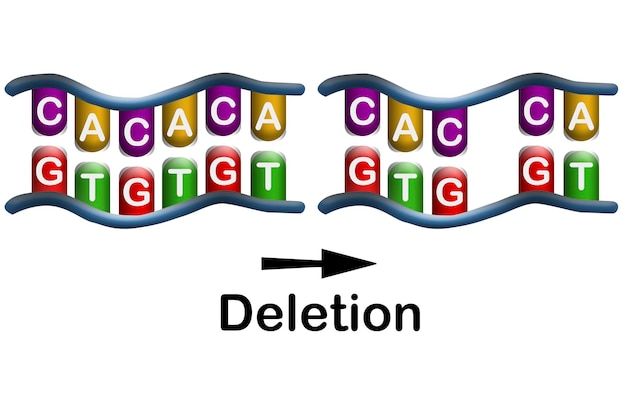 Foto deletiemutatie het verlies van een of meer nucleotiden uit een dna-segment