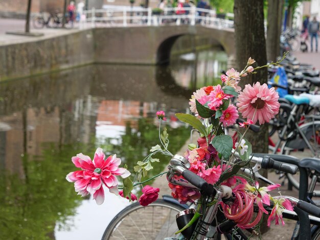 Photo delft in holland