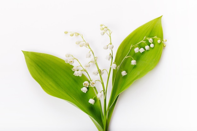 Delicaat romantisch boeket van kleine witte lelietje-van-dalen op een witte achtergrond