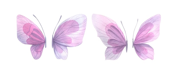 섬세하고 아름다운 분홍색과 라일락 나비 측면 보기 VALENTINE'S DAY 세트에서 분리된 수채화 삽화 장식 및 디자인 결혼식 및 낭만적인 작곡 인쇄