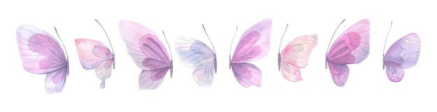 Delicate beautiful pink and lilac butterflies side view a set of watercolor isolated illustrations f