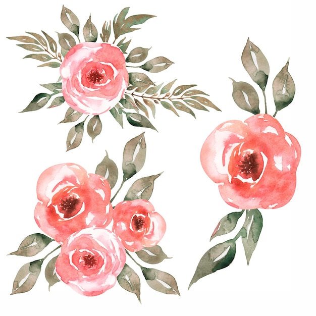 Delicate bloemen Clipart set aquarel hand getrokken Florals boeket illustratie rode bloemen