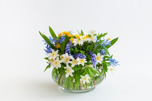 写真 最初の春の花アネモネ スノー ドロップと分離した白い背景の上のガラスの花瓶のムスカリの繊細な花束
