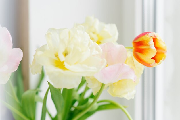 A delicate bouquet of tulips on the window