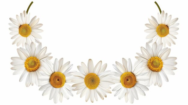 Photo delicate daisy garland with whimsical design perfect for adding a touch of charm to wedding decor