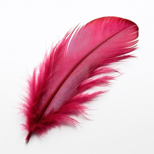 Photo delicate downy feather isolated