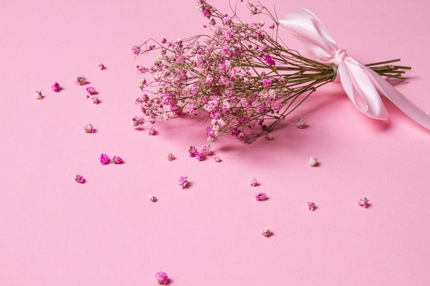 섬세하고 건조한 분홍색 꽃 분홍색 배경에 작은 꽃 봄 여성스러운 귀여운 분홍색 배경 꽃 말린 꽃 빈 공간 꽃다발