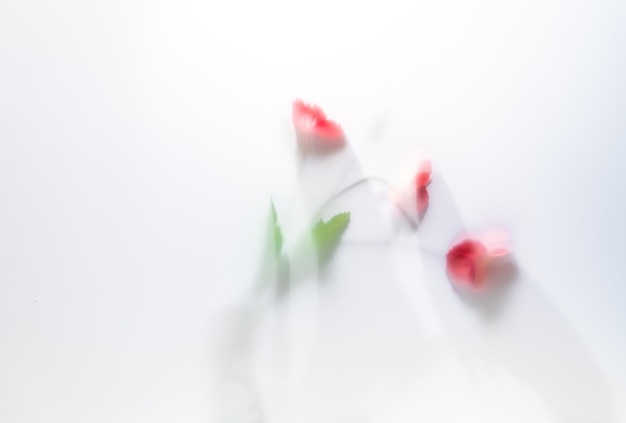 The delicate flowers behind the matte veil