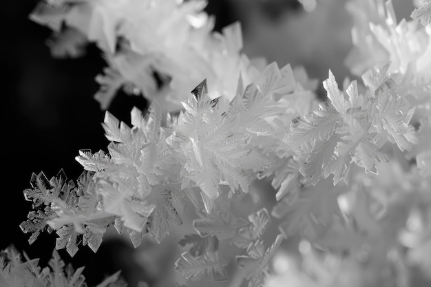 Delicate frost crystals adorning a springtime scene