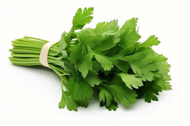 A Delicate Herb Bundle