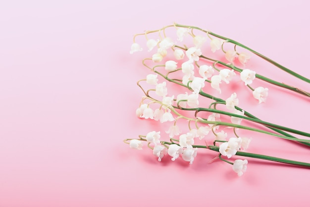 Delicate lilies of the valley on a pink background