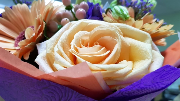 Нежная персиковая роза с цветком герберы в упаковке