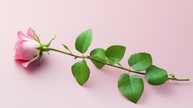 Green Twig AI가 생성된 핑크 로즈의 섬세한 꽃잎
