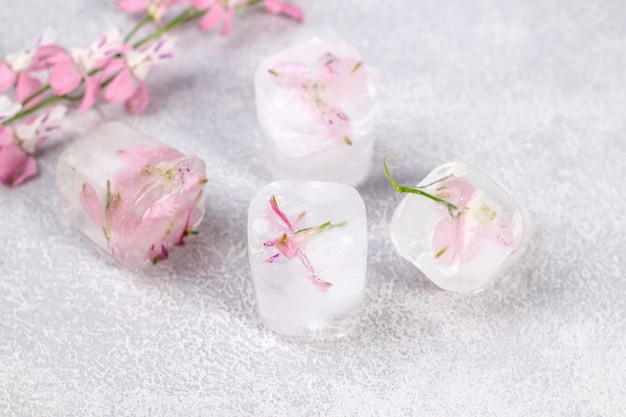 Delicate pink flowers frozen in ice cubes on a light gray background.