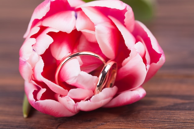 Delicate pink tulip and wedding rings. Valentine's Day. Wedding, engagement