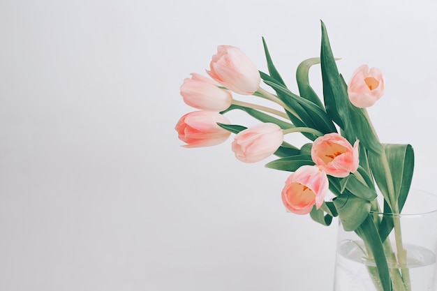 Delicate pink tulips in a glass vase scandinavianstyle  beautiful greeting card the minimal concept