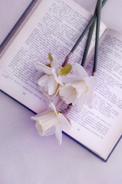 Delicate romantic bouquet of daffodils in an open book