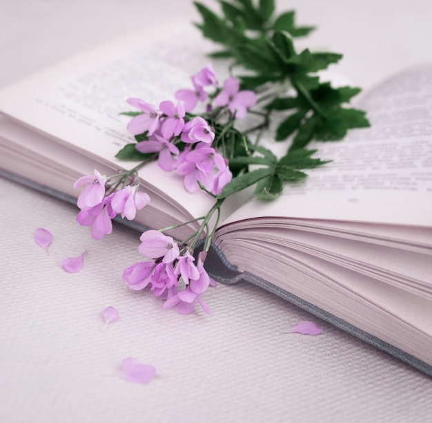 Delicate romantic bouquet of spring flowers in an open book