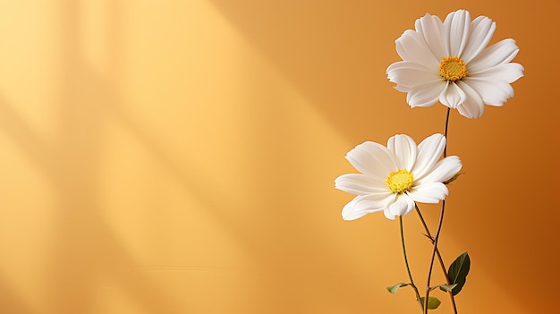 Delicate solitude minimalist dandelion in isolated harmony