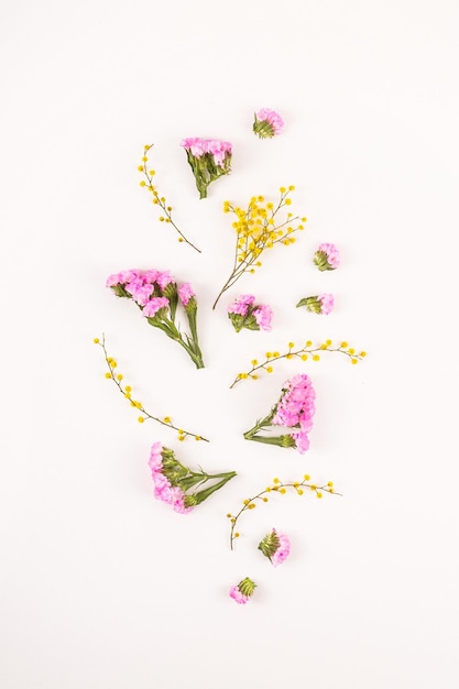 Delicate summer yellow and pink flowers on white background nature and minimalism concept
