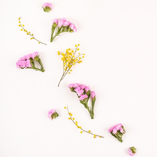 Delicate summer yellow and pink flowers on white background nature and minimalism concept