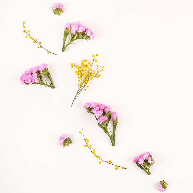 Photo delicate summer yellow and pink flowers on white background nature and minimalism concept