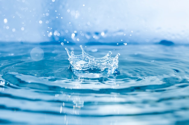 写真 繊細な水面にはねた