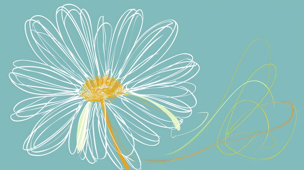 Foto delicato fiore di margherita bianco con centro giallo i petali sono delineati in una singola linea continua il gambo è curvo e ha poche foglie