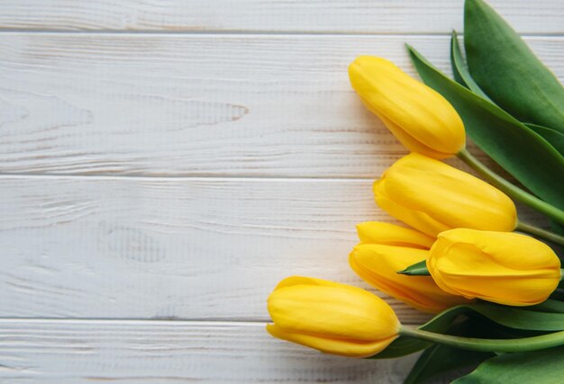 Delicate yellow tulips on white wooden background