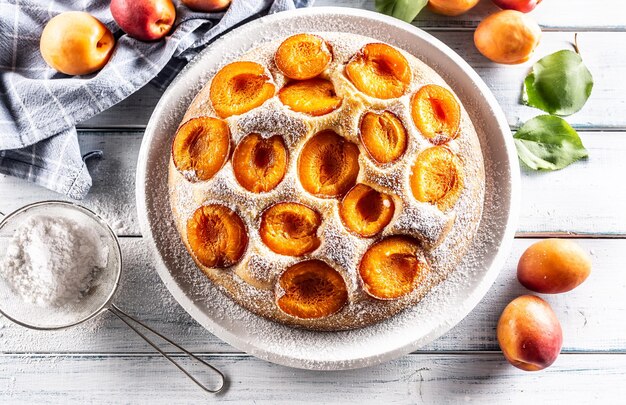 Delicious apricot cake sprinkled sugar powder on garden table