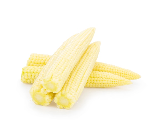 Delicious baby corn, isolated