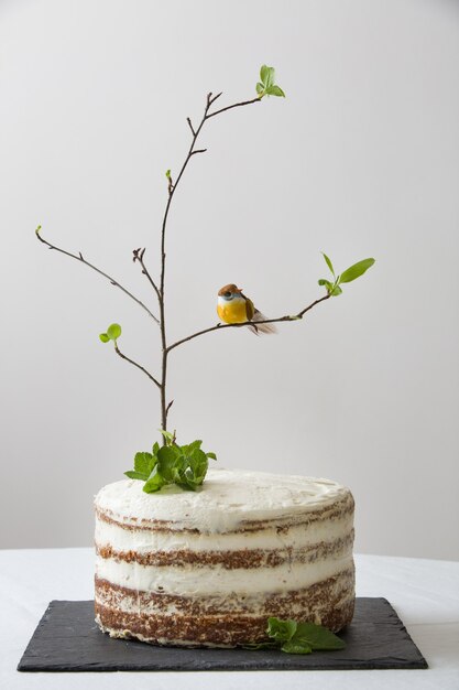 delicious birthday cake with a tree branch and a bird as decoration on a white table holiday concept