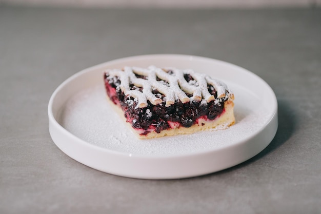 Delicious blueberry pie on a plate closeup