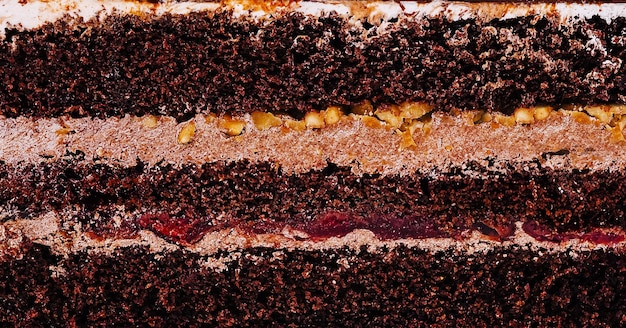 Delicious chocolate cake layers showing filling and frosting