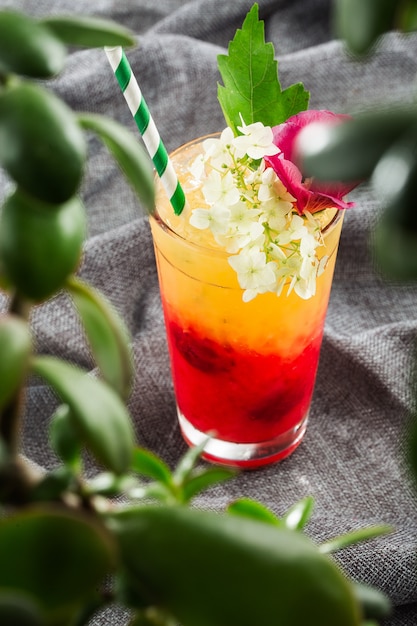 Delizioso cocktail con succo d'arancia e rosso tequila sunrise, cubetti di ghiaccio in un bicchiere su grigio