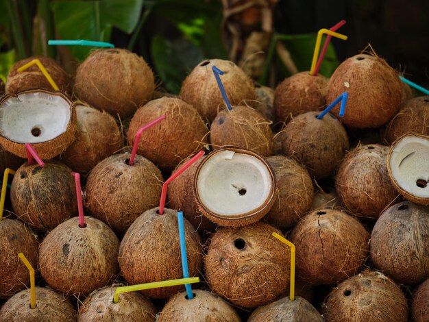 delicious coconuts on a tropical island