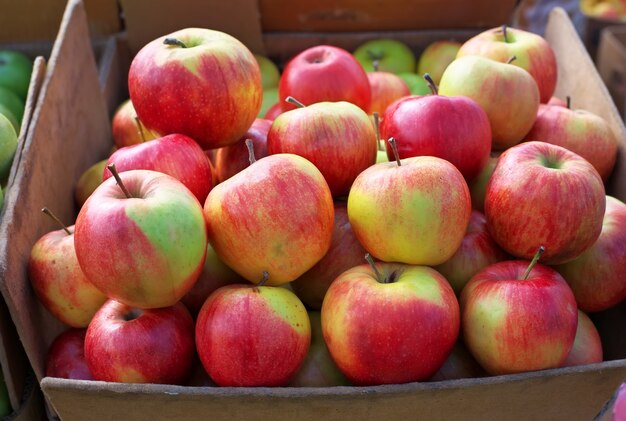 시장에 있는 상자에 있는 맛있는 다채로운 새콤달콤한 사과