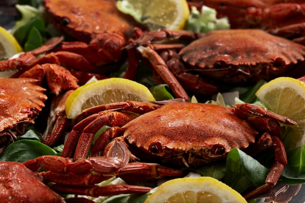 Foto deliziosi frutti di mare cucinati