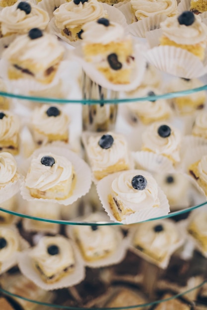 Delicious creamy desserts with fruit cakes and cookies on stand\
at wedding reception in restaurant luxury catering service wedding\
candy bar