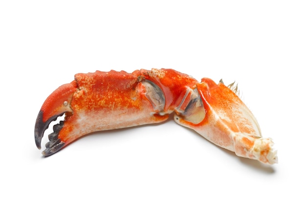 Delicious Delicacy 4K Ultra HD afbeelding van gestoomde gekookte krab