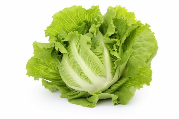 Delicious Escarole Recipes