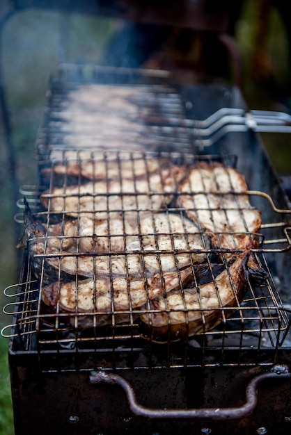 delicious fish steak on the grill in the park