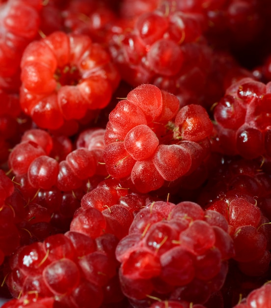 Delicious fresh raspberries