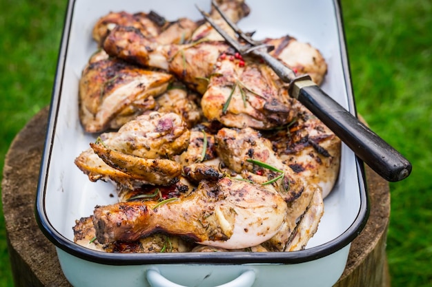 Delicious grilled chicken with rosemary and spices