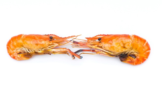 Delicious grilled river prawns on a white background