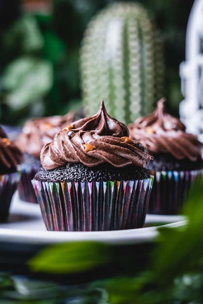 Delicious homemade Chocolate muffin cupcake.