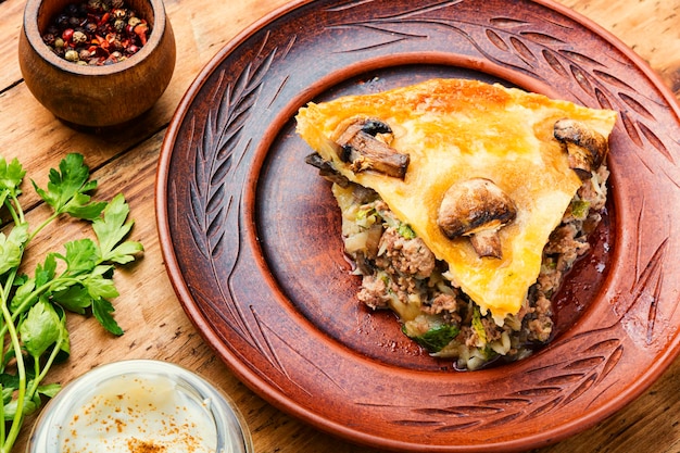 Delicious homemade pie with meat and mushrooms.