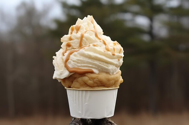 冬の美味しいアイスクリーム